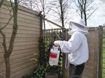 Wespenbestrijding in een tuinhuis